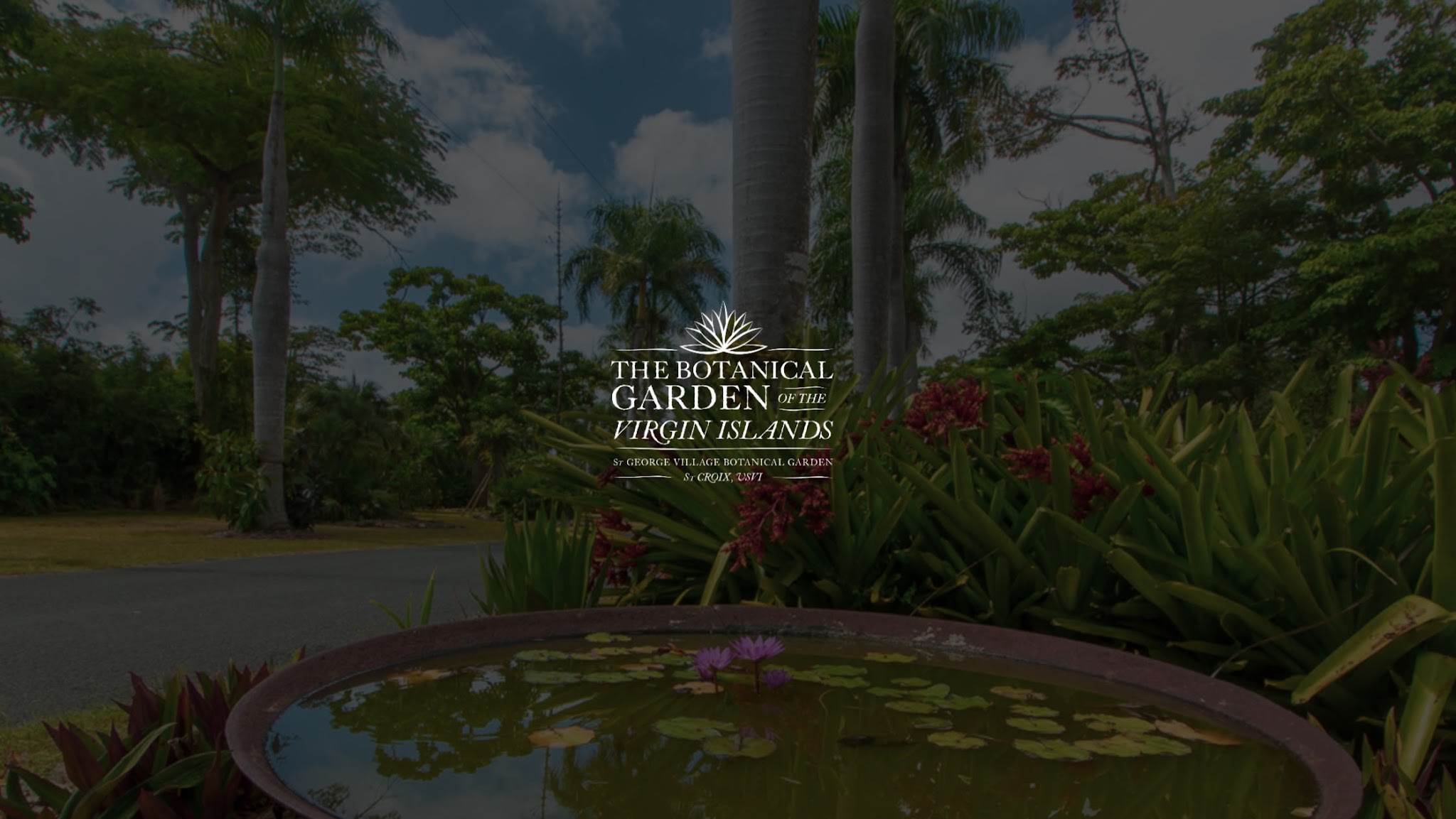 The Botanical Garden of the US Virgin Islands YouTube banner