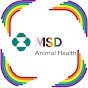 MSD Animal Health España YouTube channel avatar 