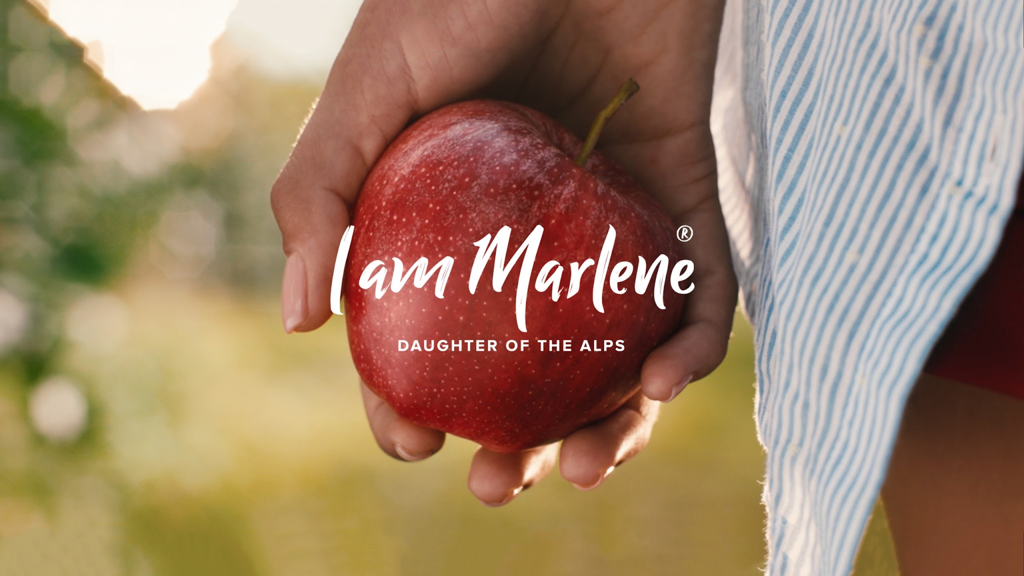 Marlene Apple (Südtirol) YouTube banner