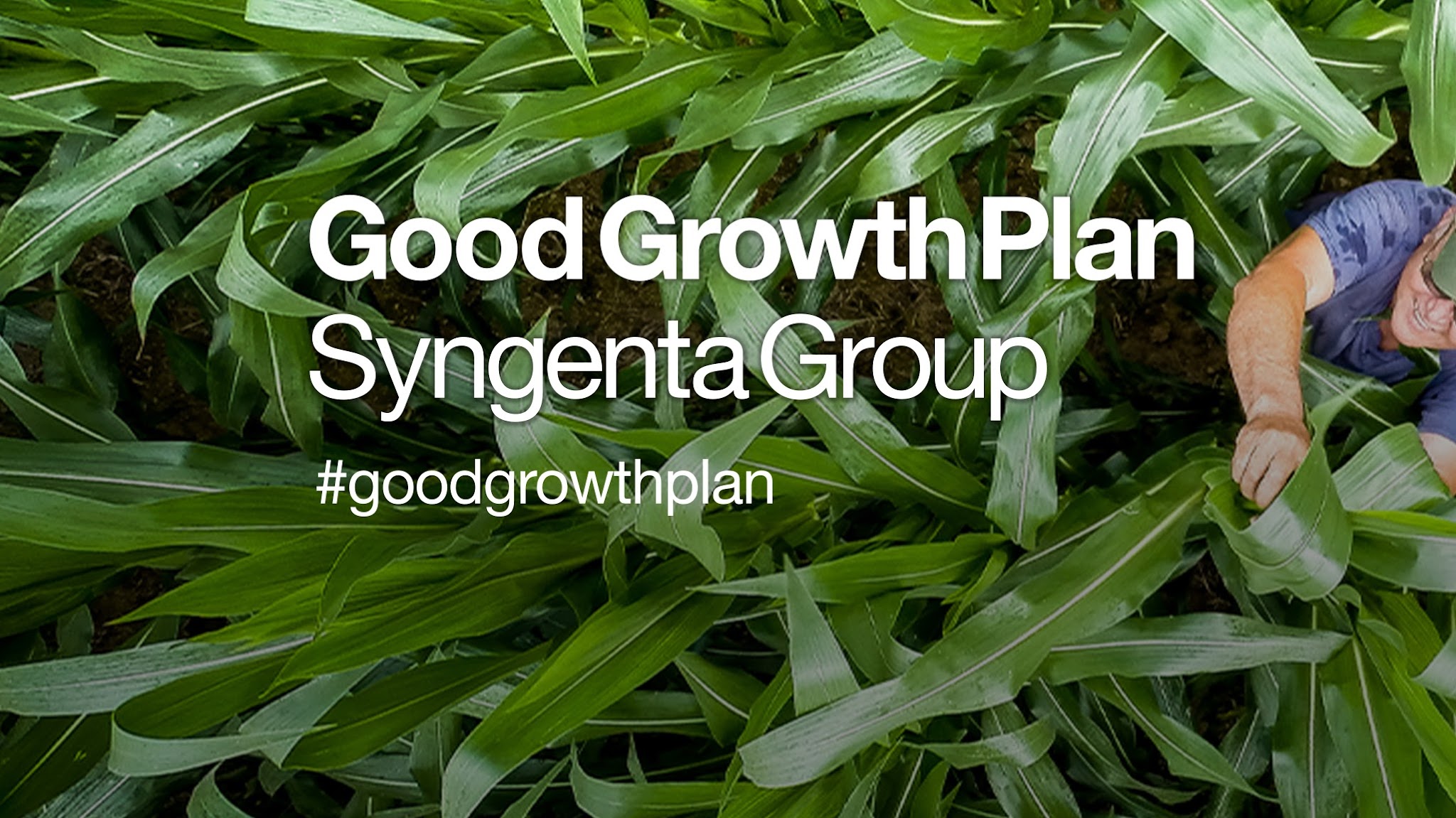 Syngenta YouTube banner