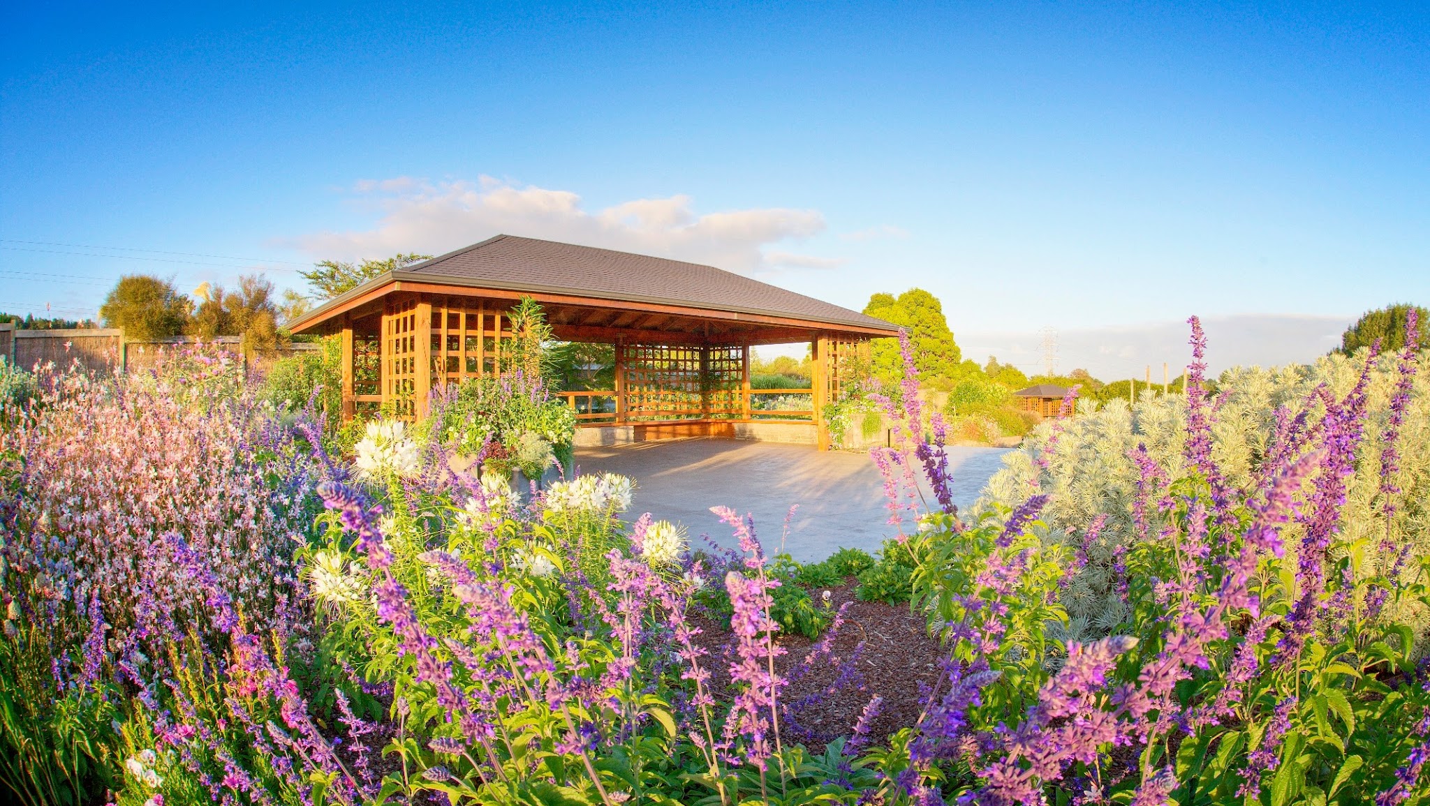 Auckland Botanic Gardens YouTube banner