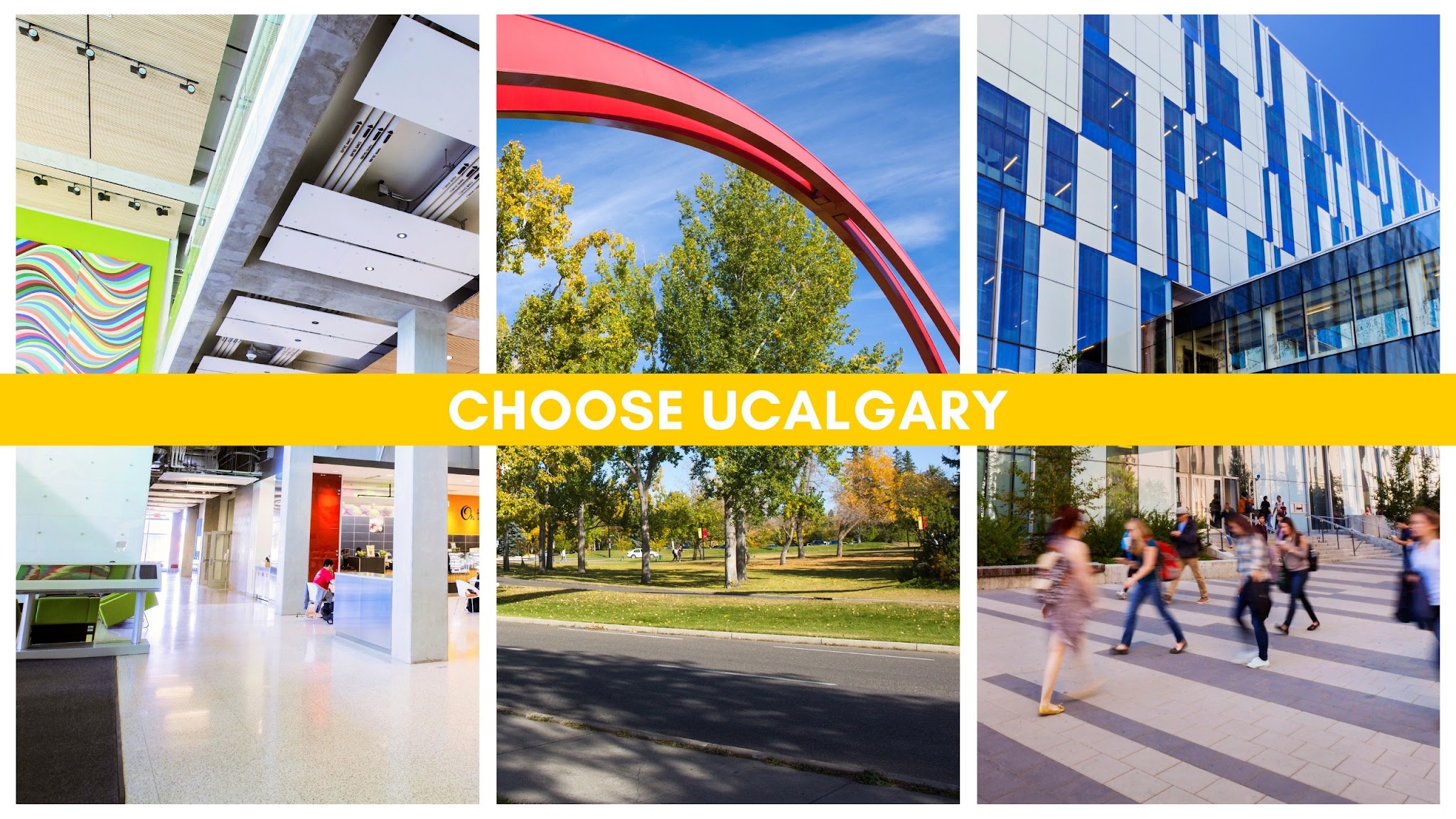 Choose UCalgary YouTube banner