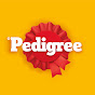 Pedigree UK YouTube channel avatar 