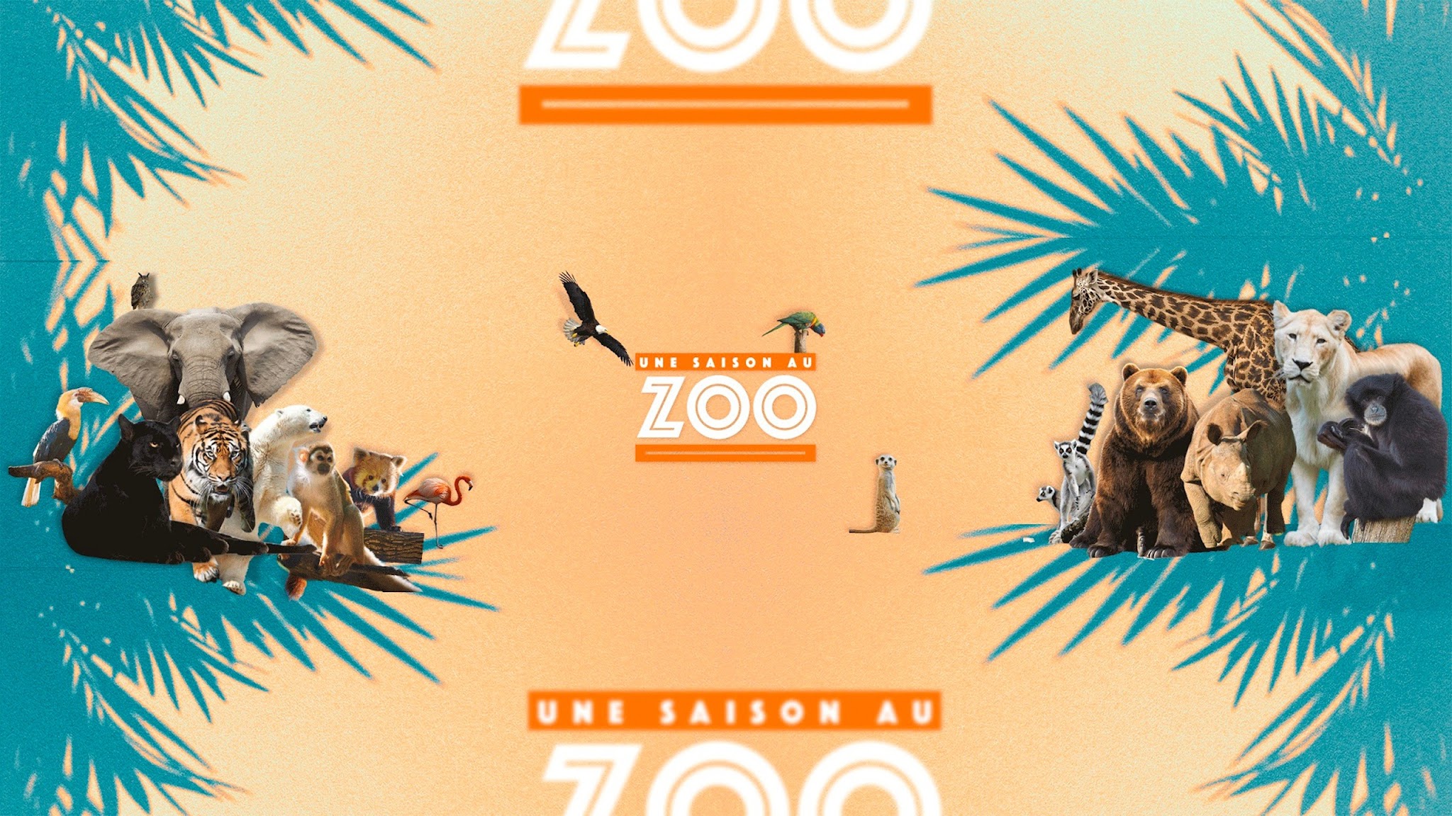 Une Saison au Zoo YouTube banner