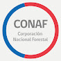 Corporación Nacional Forestal YouTube channel avatar 