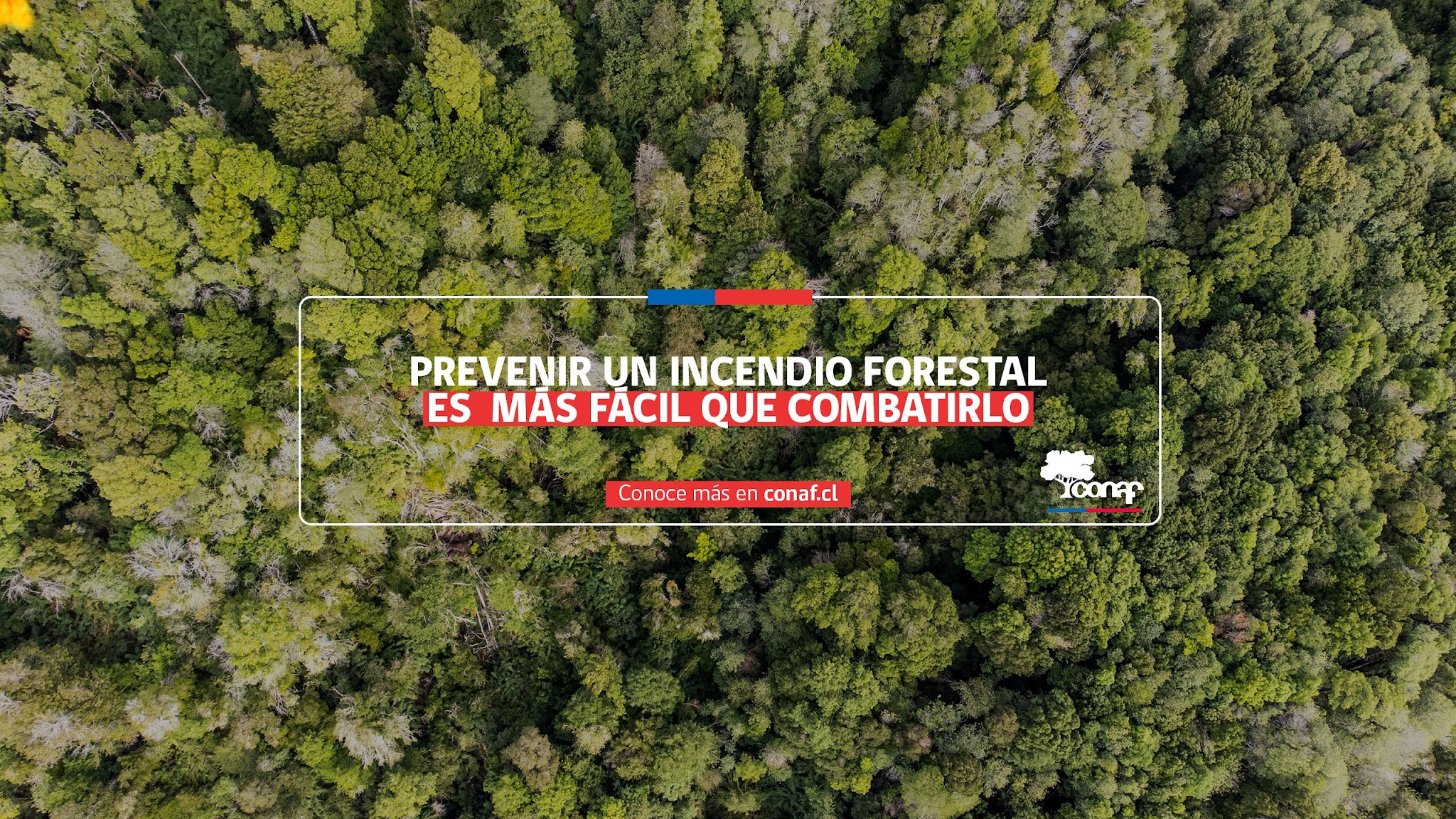 Corporación Nacional Forestal YouTube banner