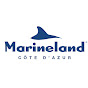 Marineland Côte d'Azur YouTube channel avatar 