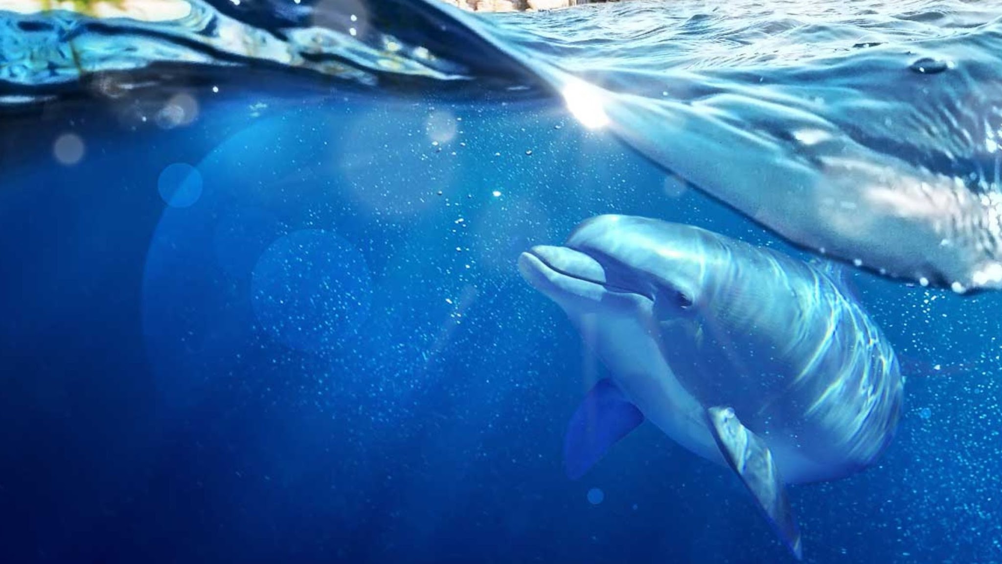 Marineland Côte d'Azur YouTube banner