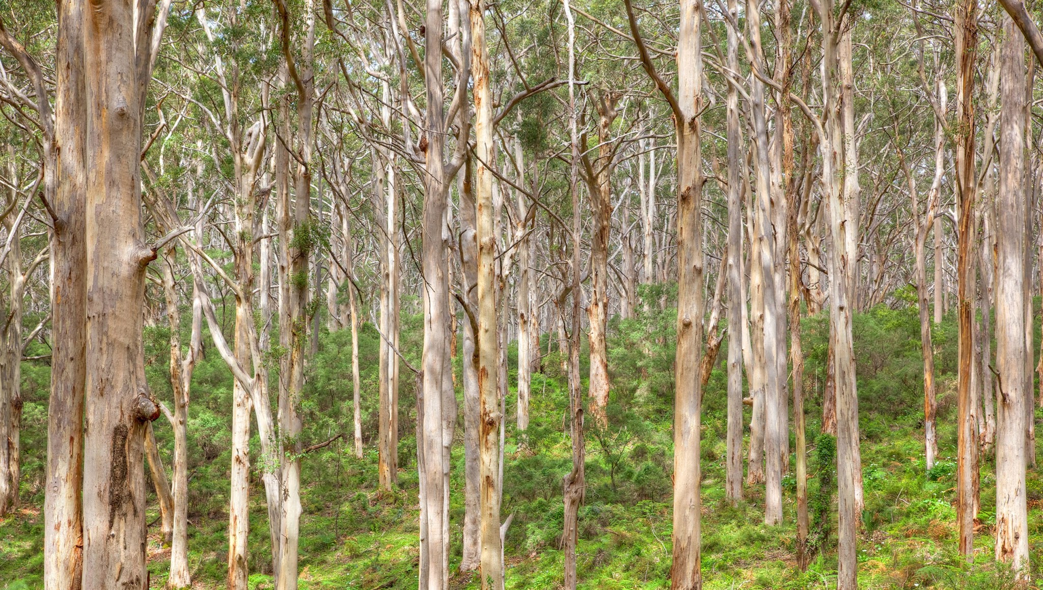 The Margaret River Region YouTube banner