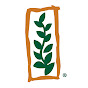 Monsanto Brasil YouTube channel avatar 