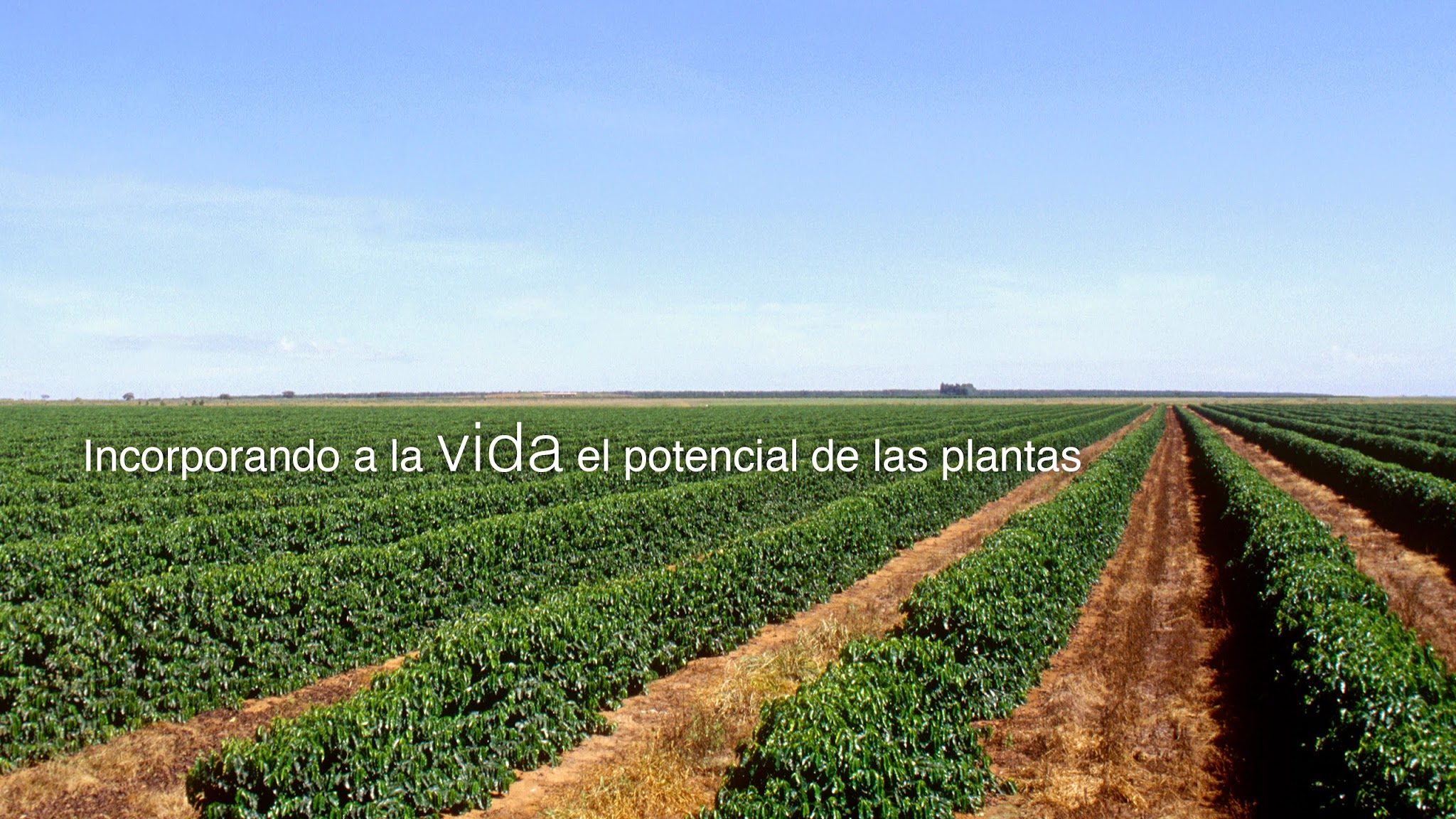 Syngenta LAS YouTube banner