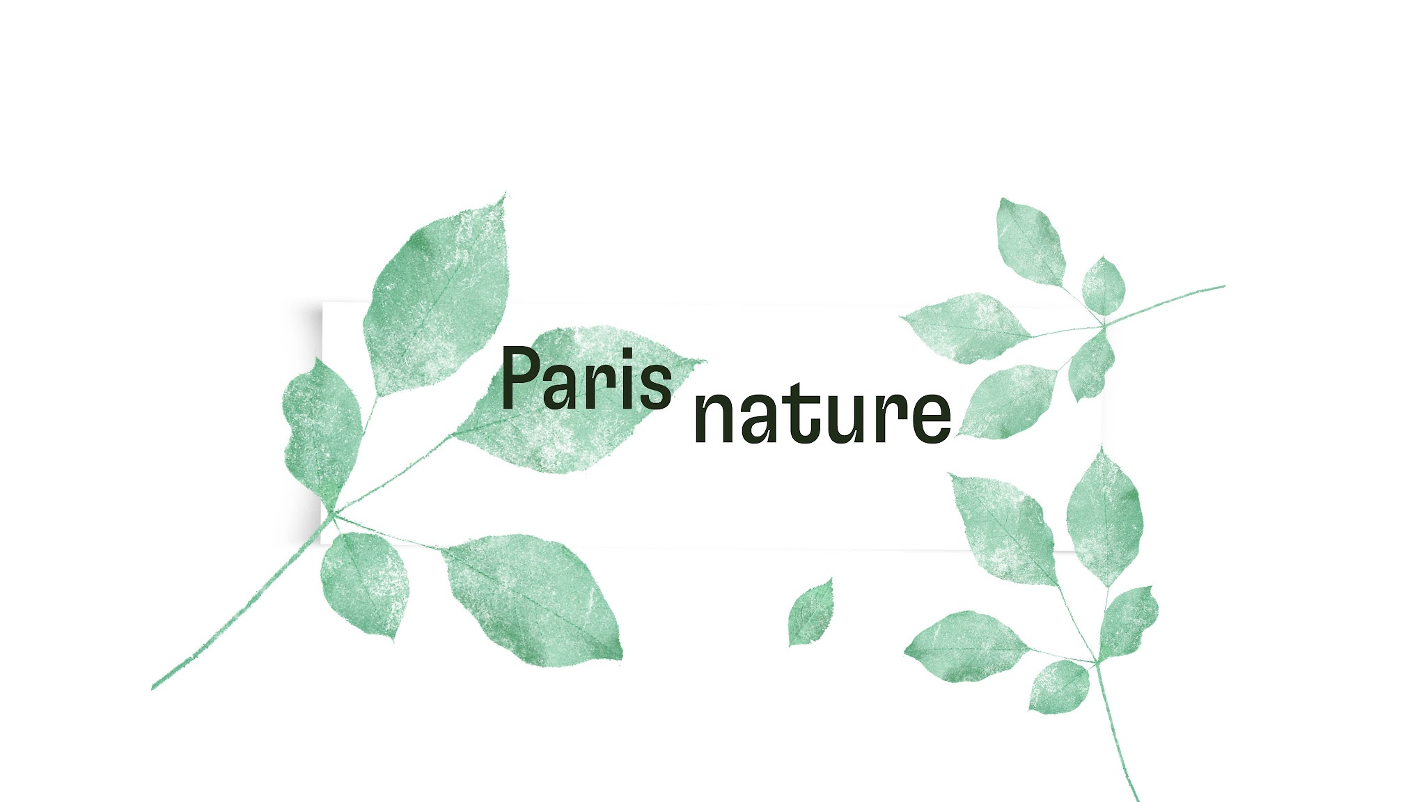 Paris nature YouTube banner