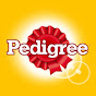 PEDIGREE NZ YouTube channel avatar 