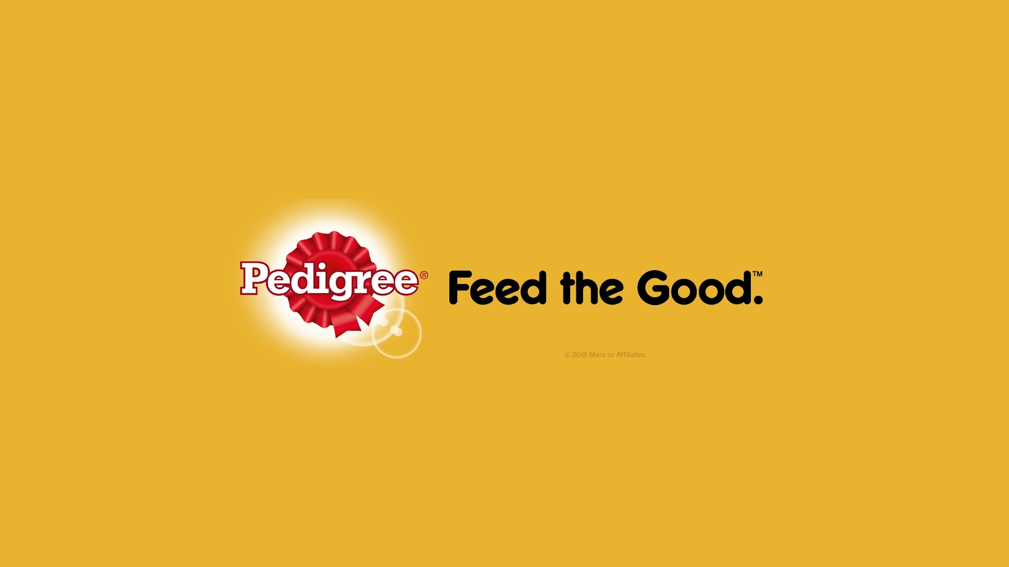 PEDIGREE NZ YouTube banner