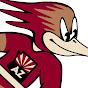 Tucson Roadrunners YouTube channel avatar 