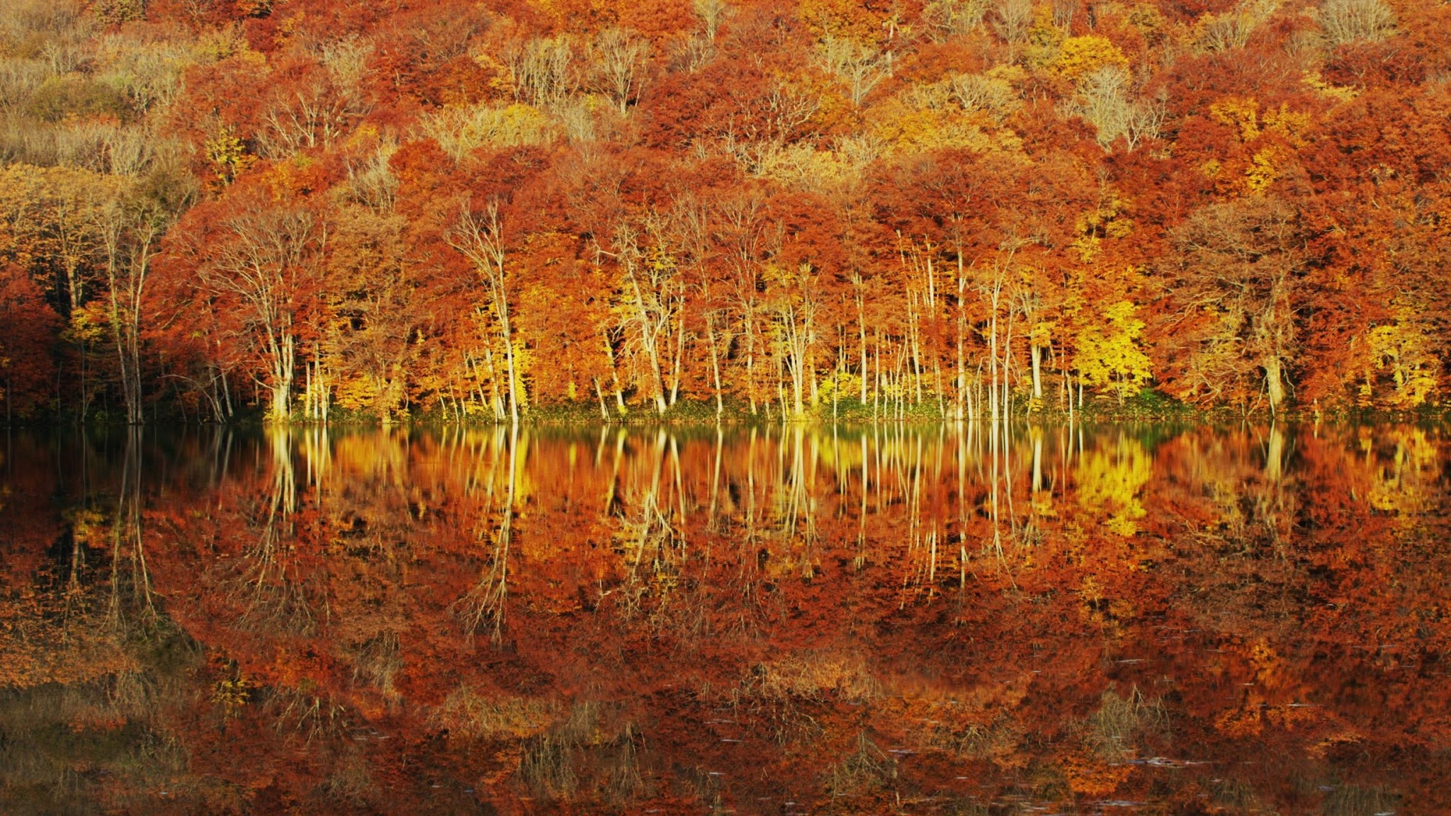 National Parks of Japan YouTube banner