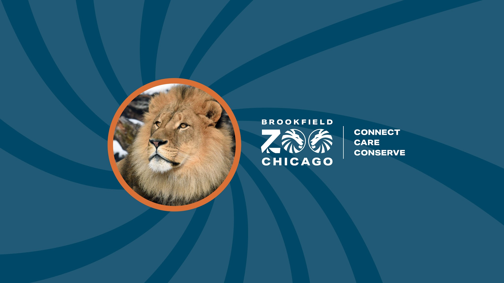 Brookfield Zoo Chicago YouTube banner