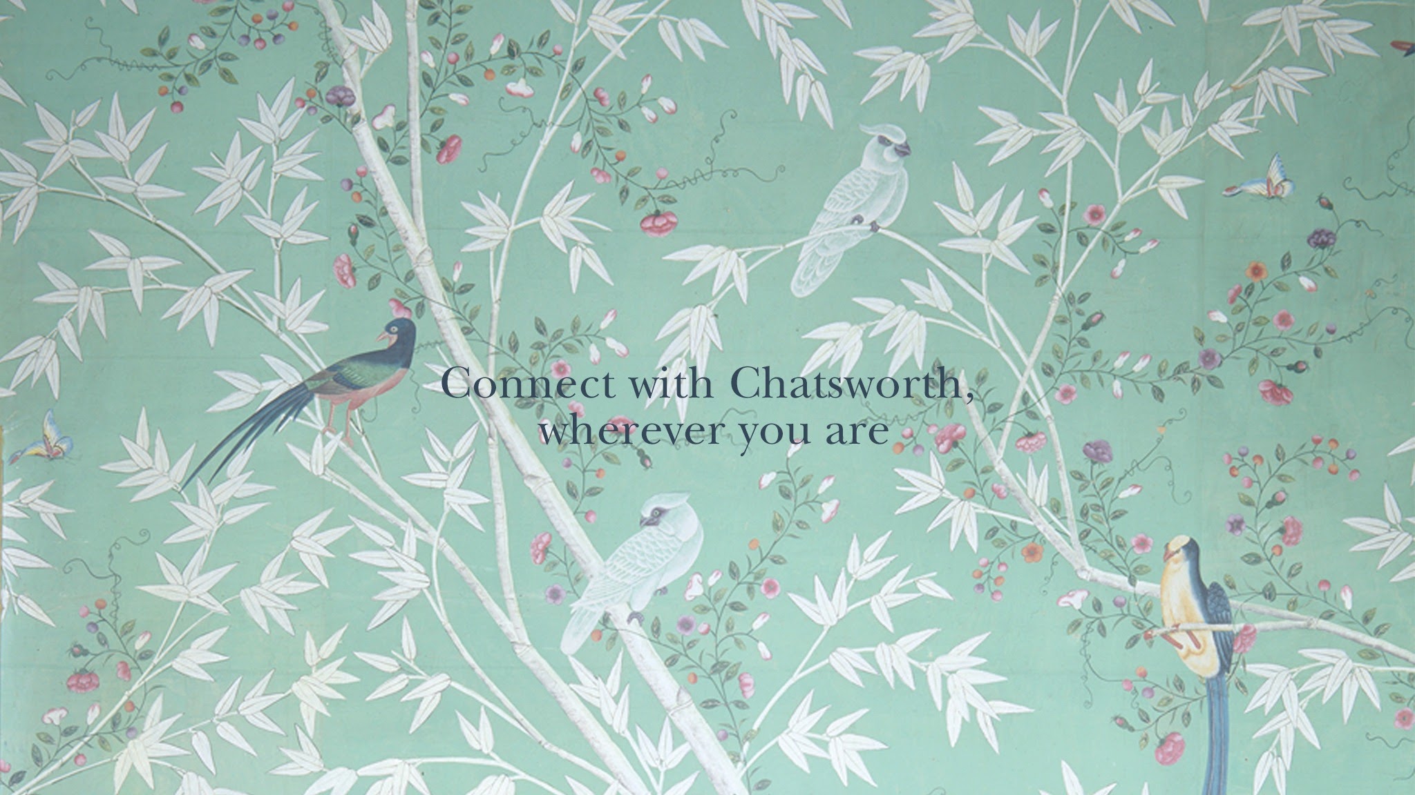 Chatsworth YouTube banner