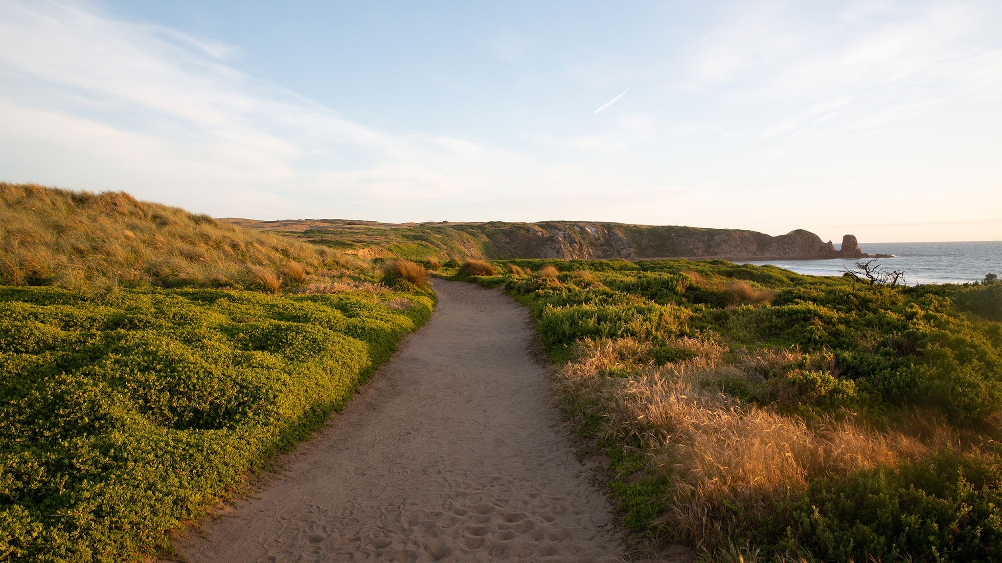 Phillip Island Nature Parks YouTube banner