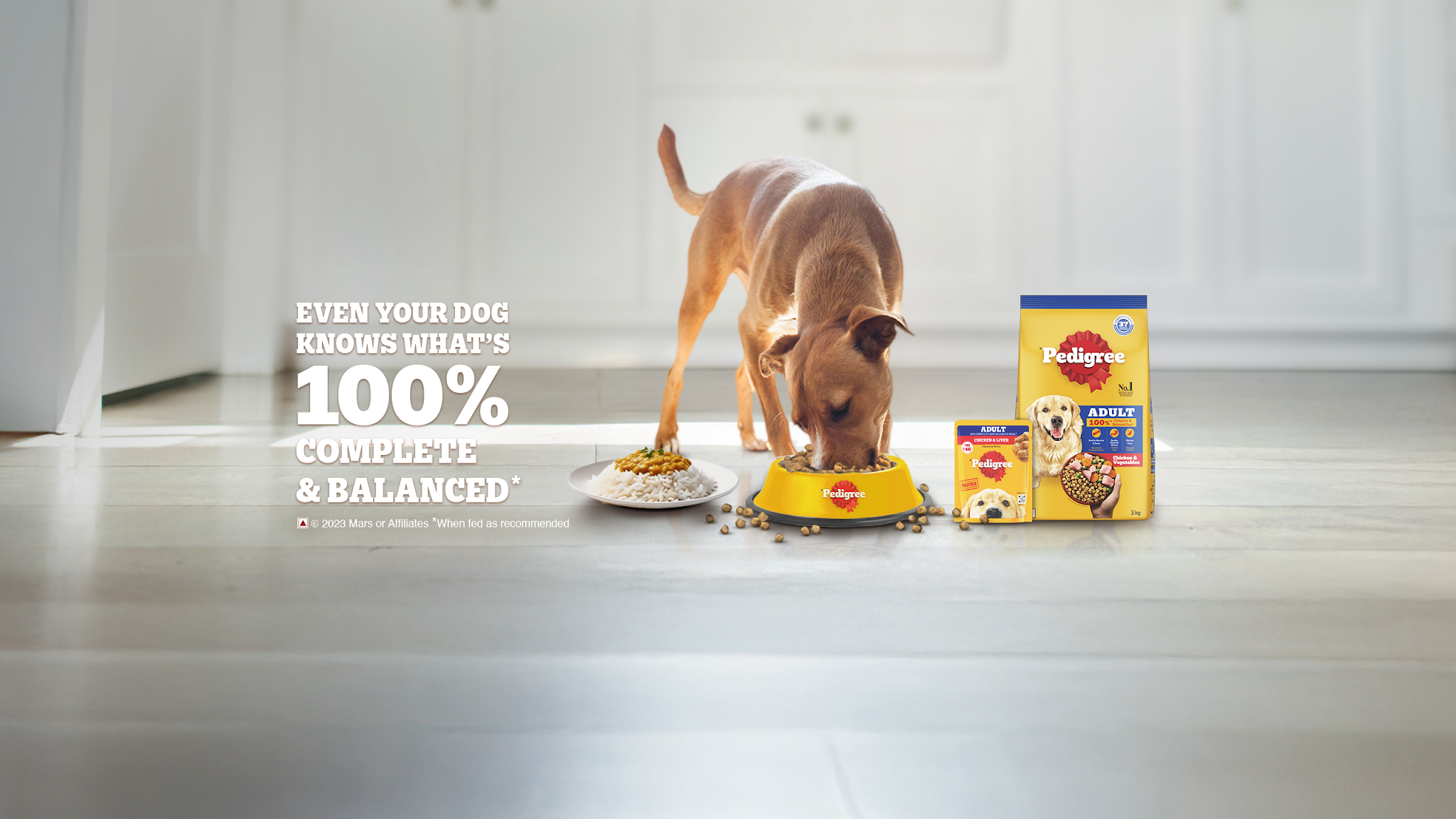 Pedigree India YouTube banner