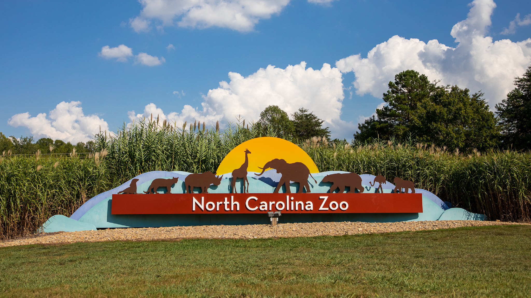 North Carolina Zoo YouTube banner