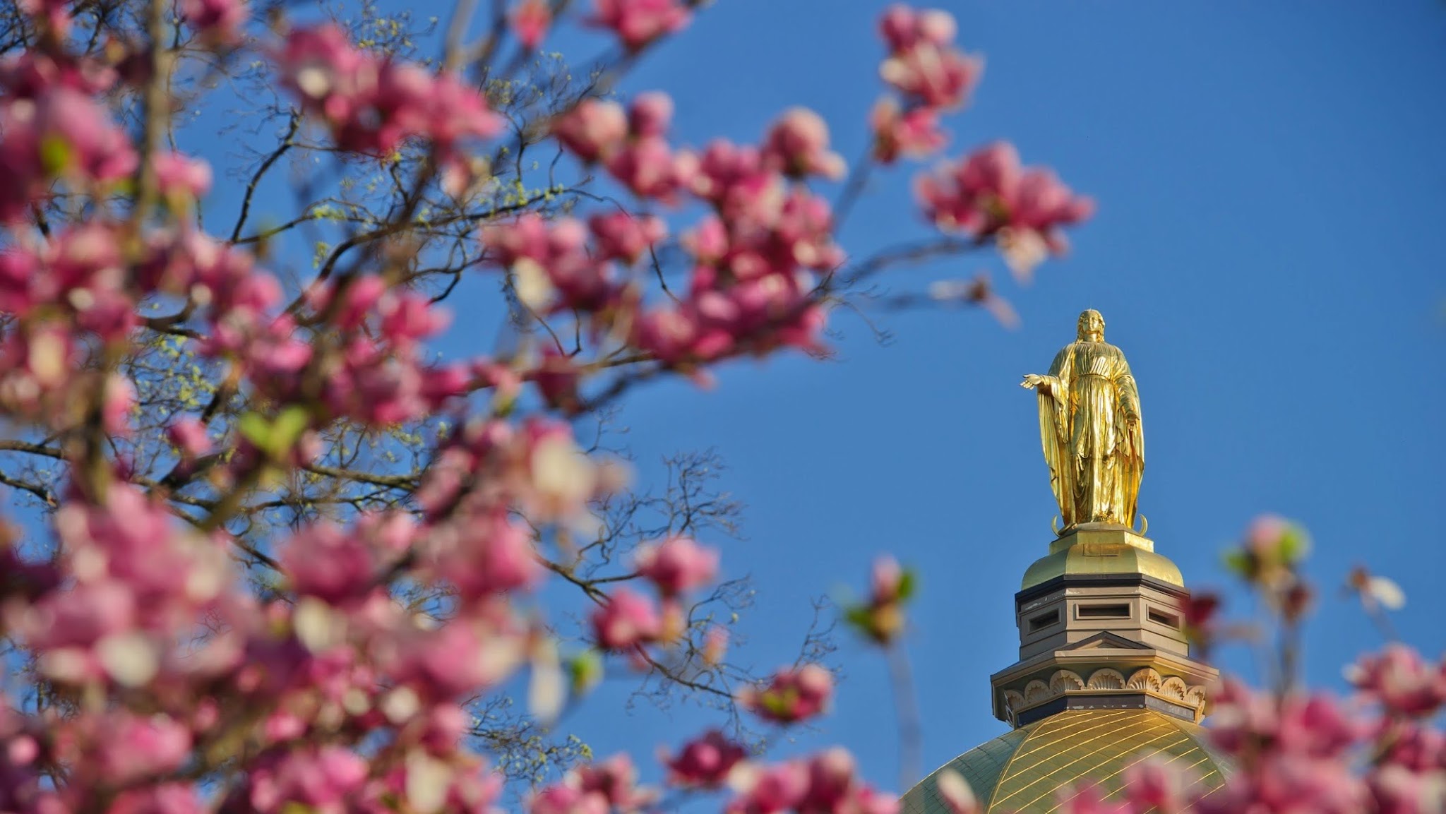 University of Notre Dame YouTube banner