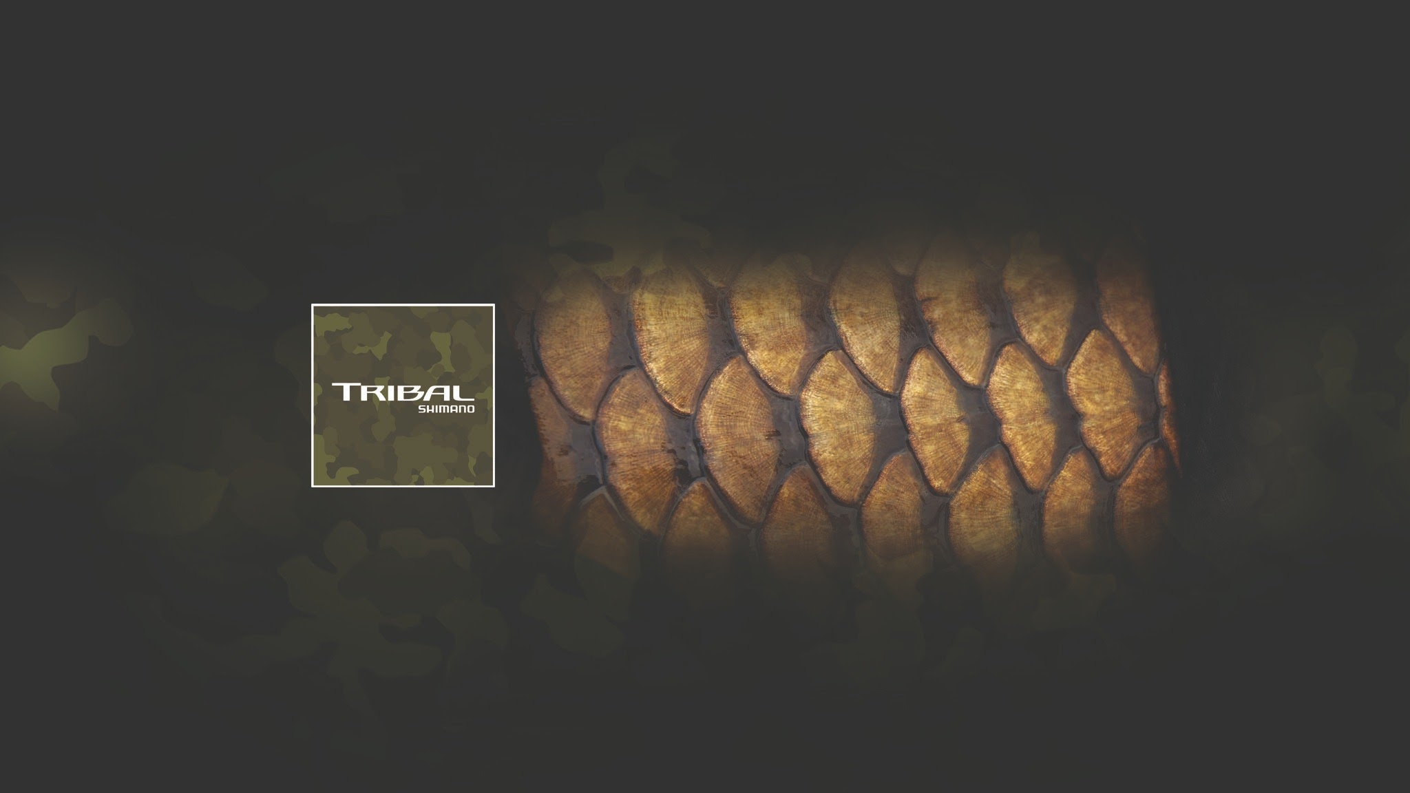 Shimano Tribal EU YouTube banner