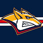 HCMETALLURG YouTube channel avatar 