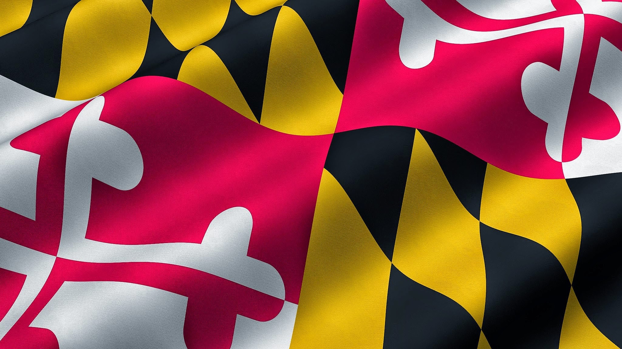 Baltimore County YouTube banner