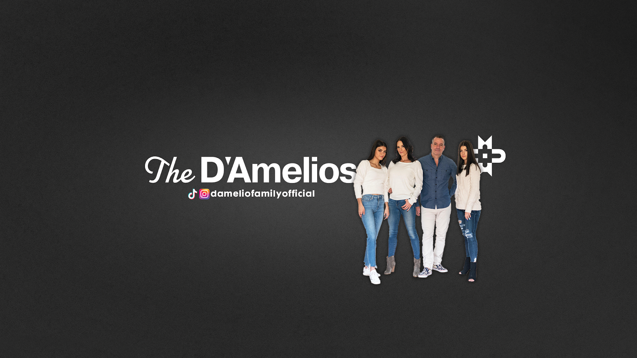 The D'Amelio Family YouTube banner