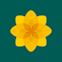 Plaid Cymru YouTube thumbnail