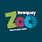 Newquay Zoo YouTube thumbnail