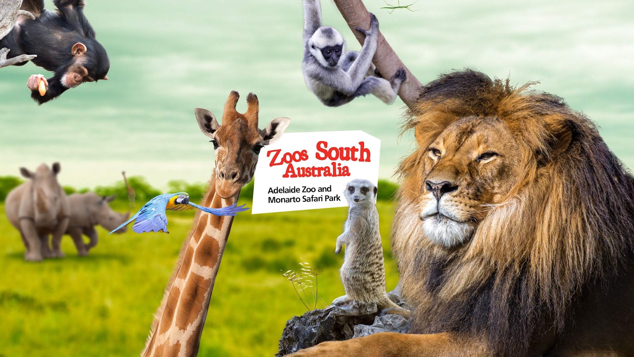 Zoos SA YouTube banner