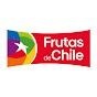 Fruits From Chile YouTube channel avatar 