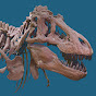 American Museum of Natural History YouTube channel avatar 