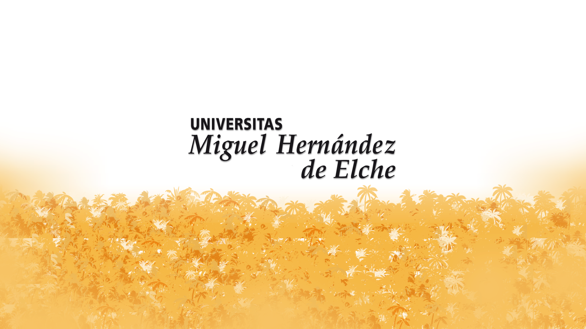 Universidad Miguel Hernández de Elche YouTube banner