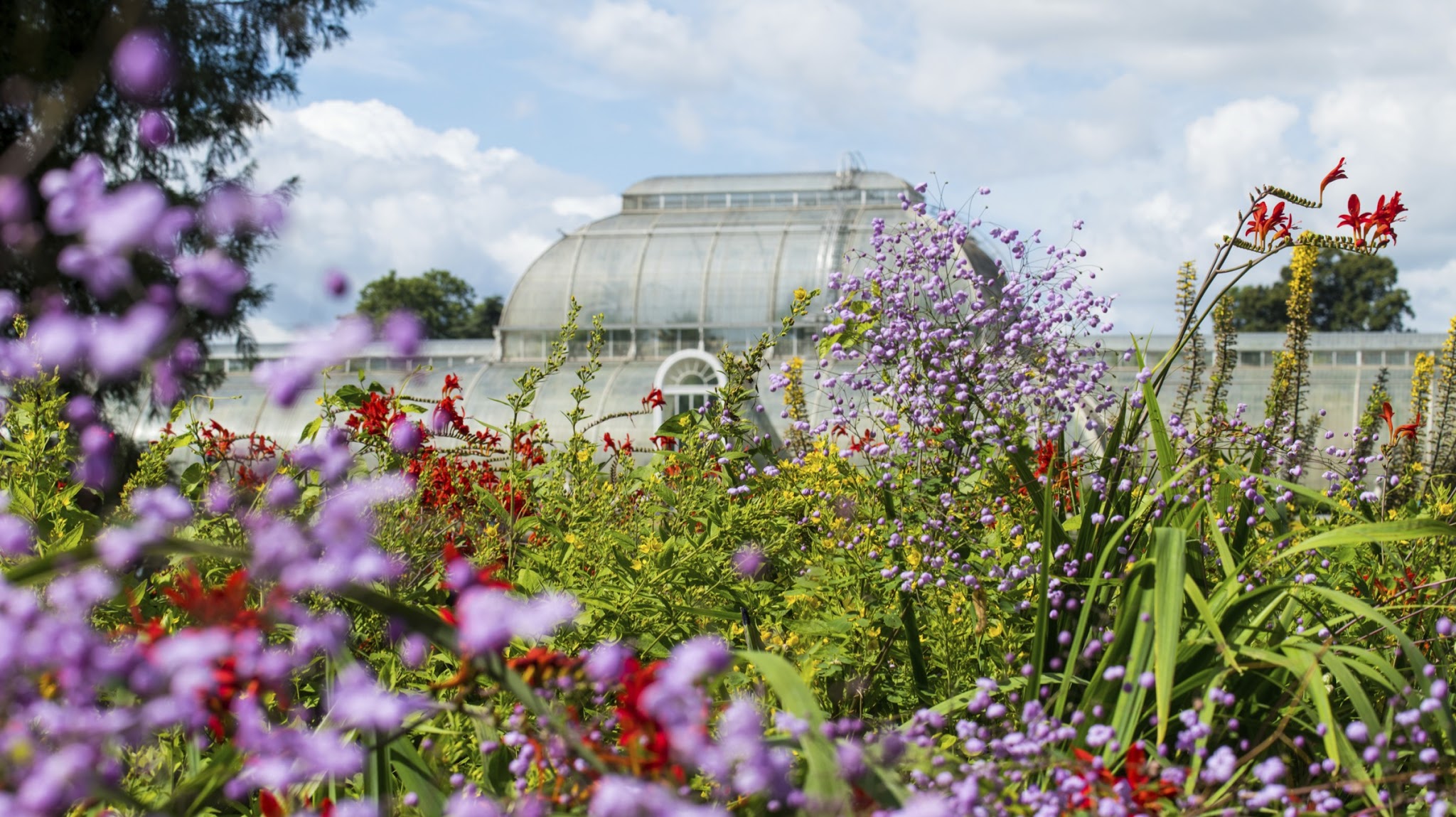 Royal Botanic Gardens, Kew YouTube banner