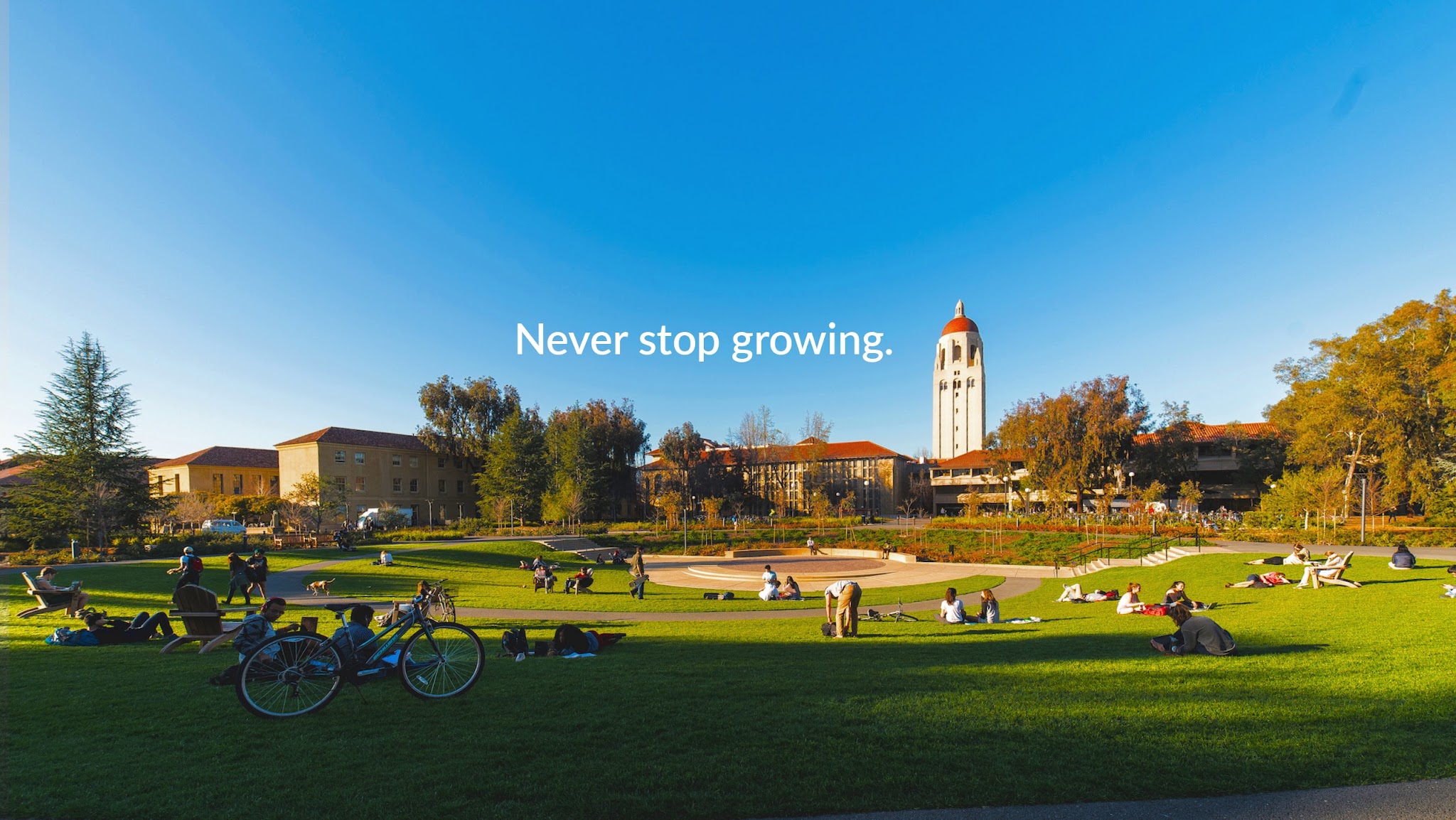 Stanford Alumni YouTube banner