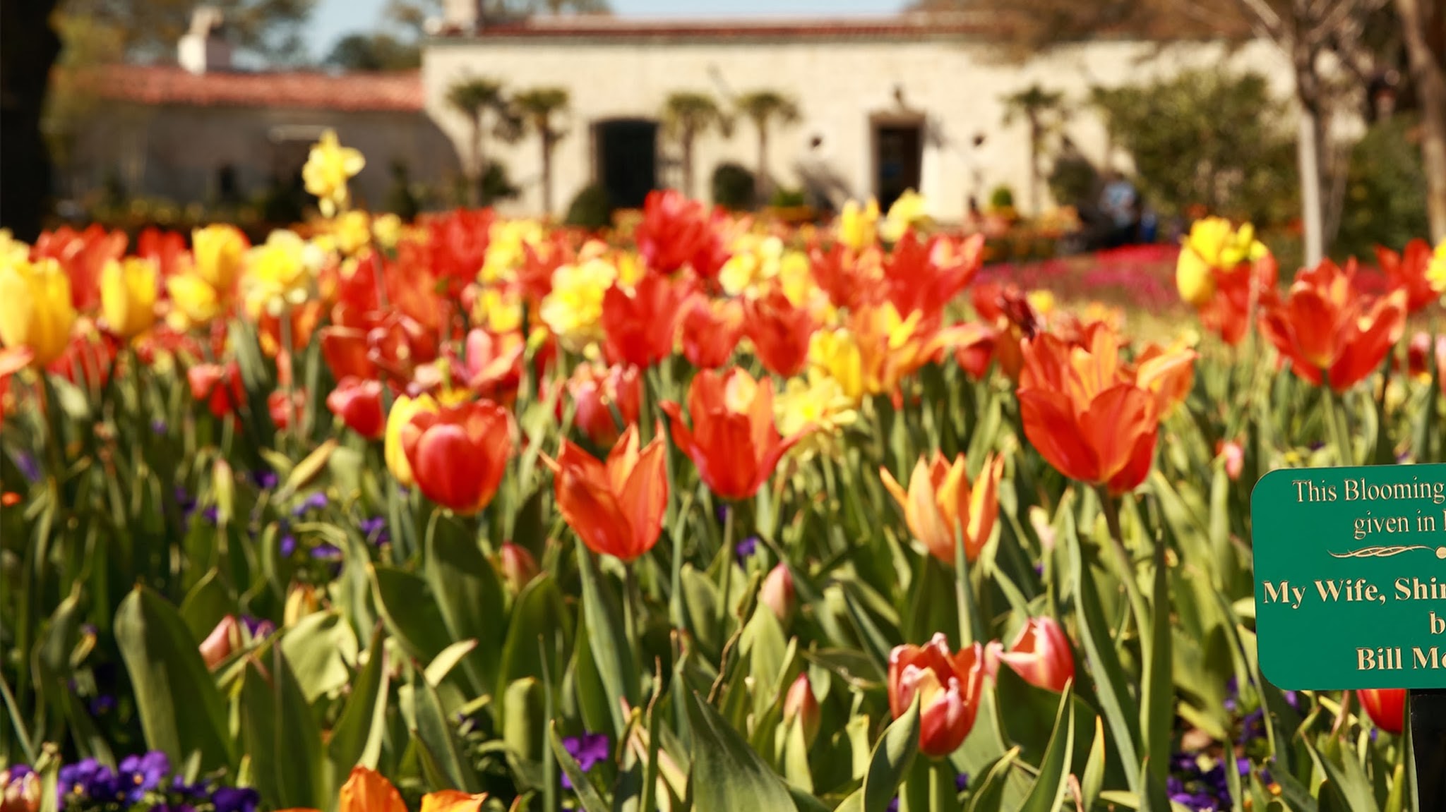 The Dallas Arboretum YouTube banner