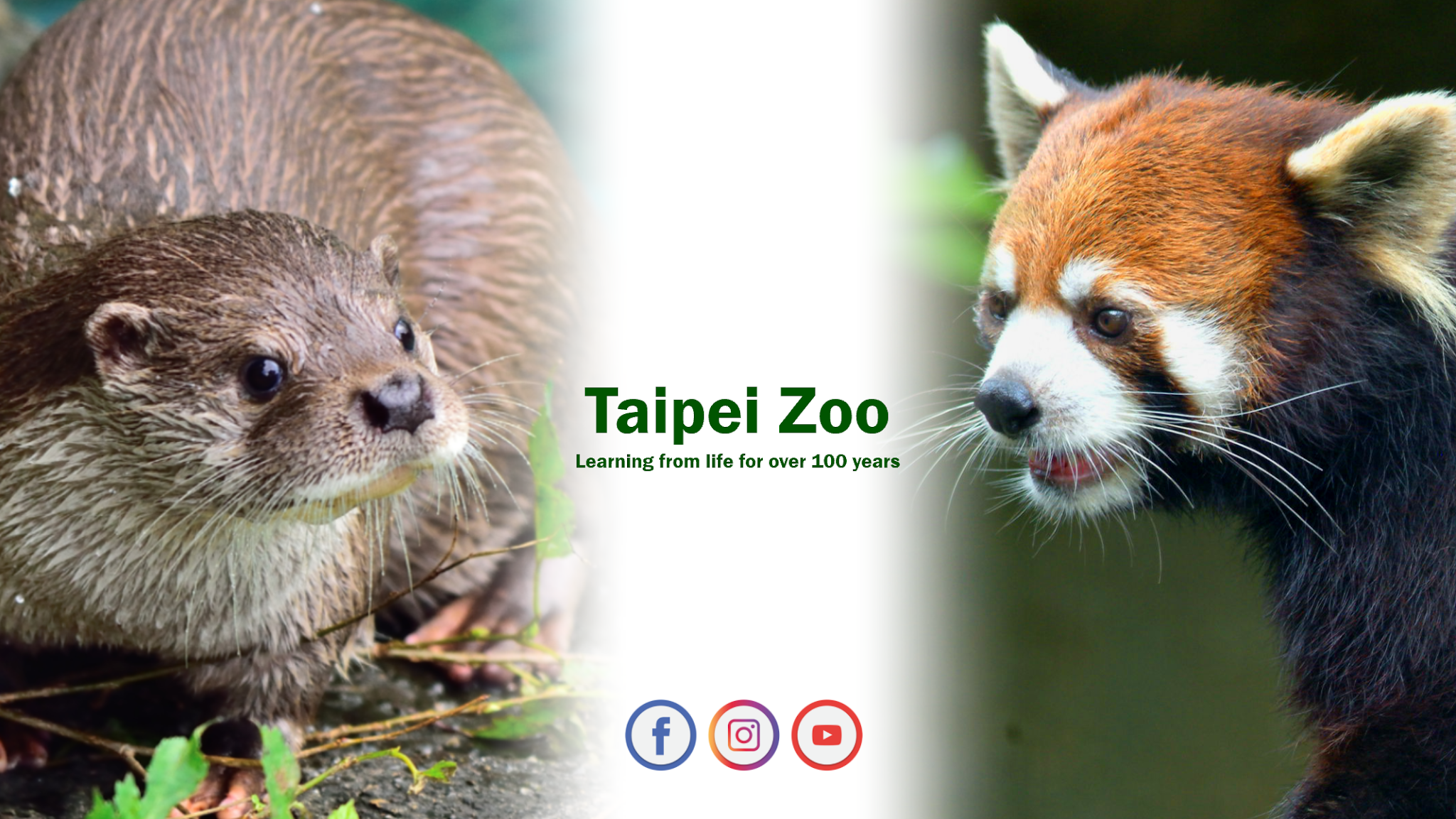 臺北市立動物園 YouTube banner