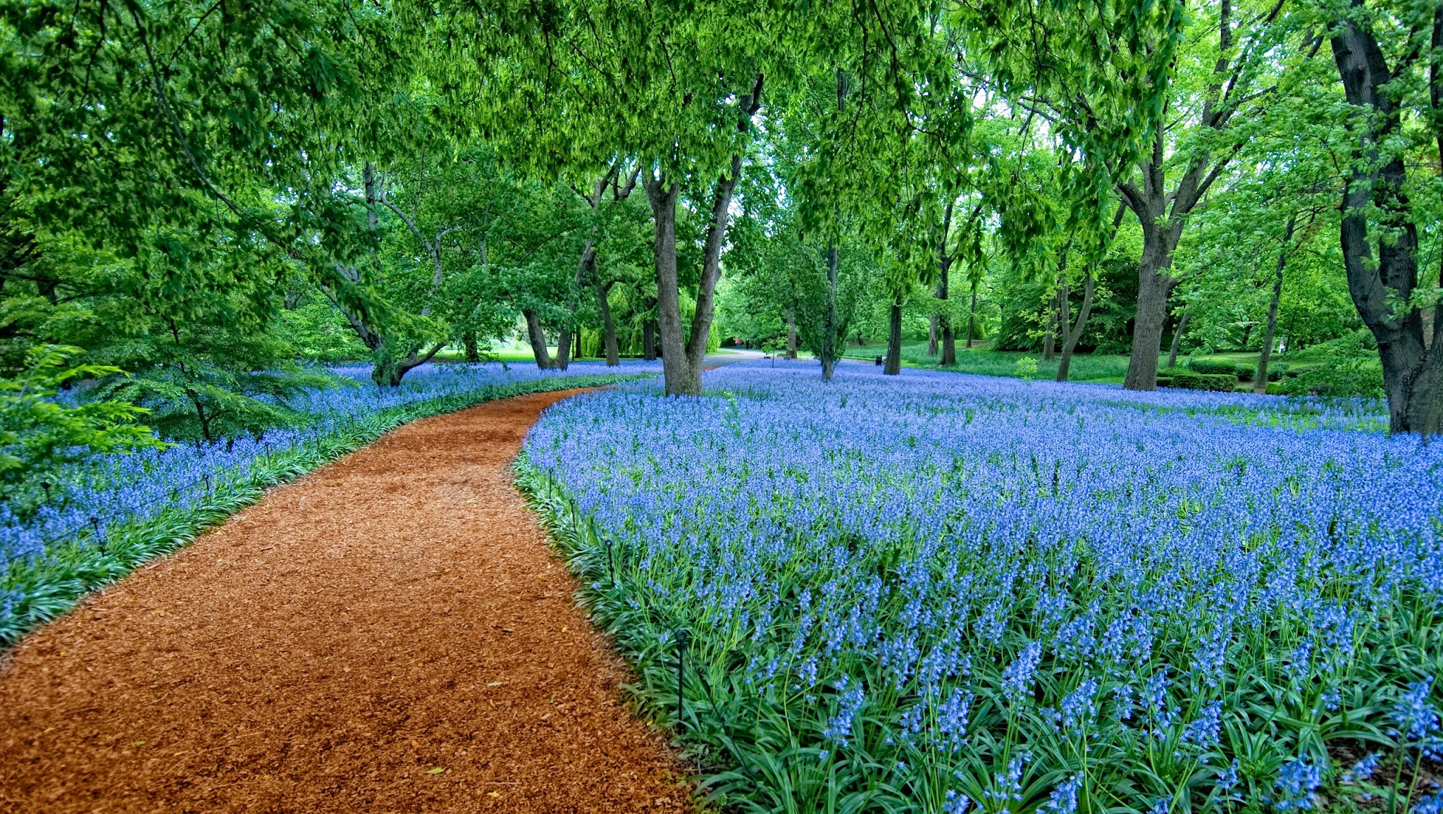 Brooklyn Botanic Garden YouTube banner