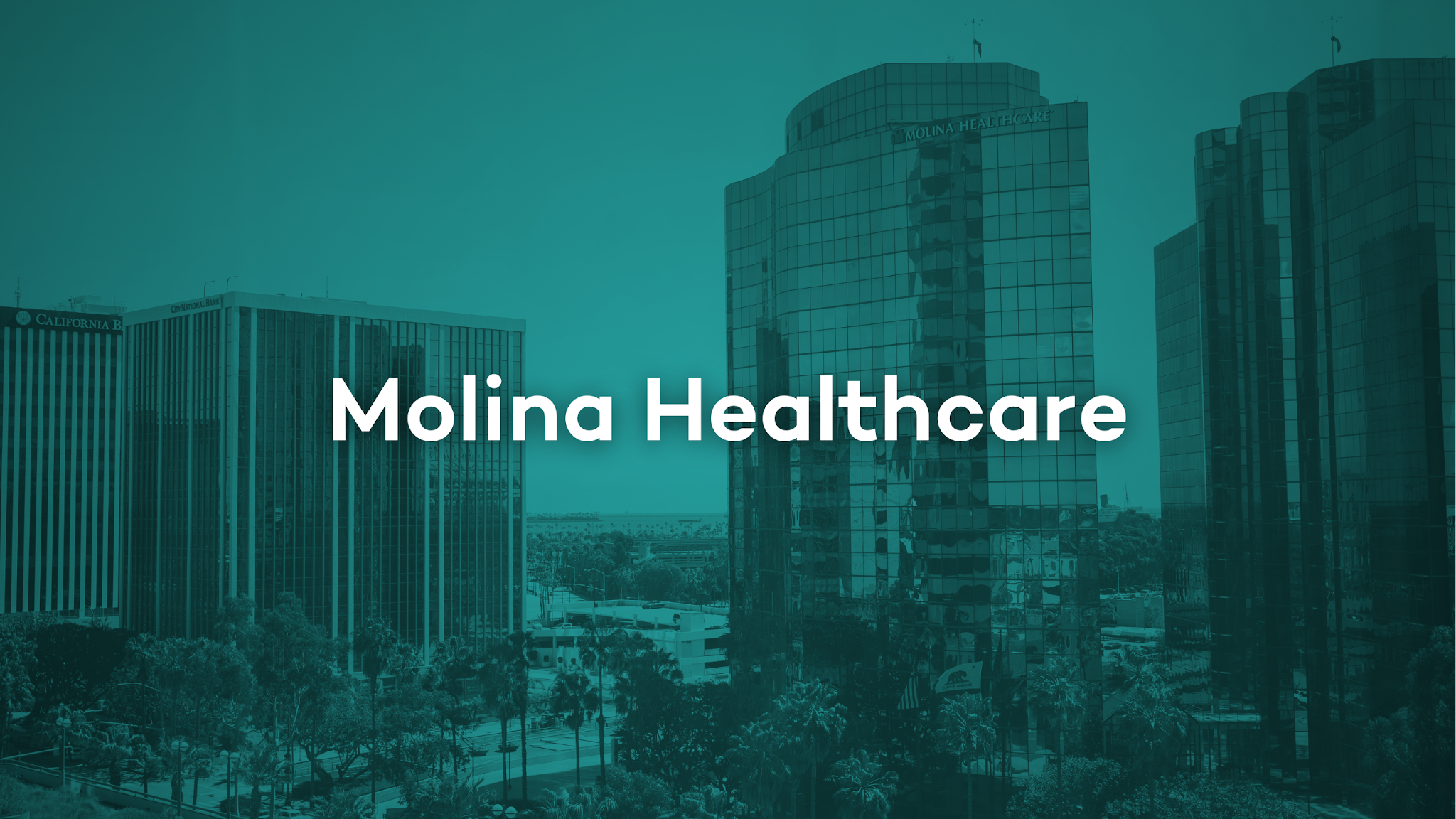 Molina Healthcare YouTube banner