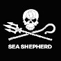 Sea Shepherd YouTube channel avatar 