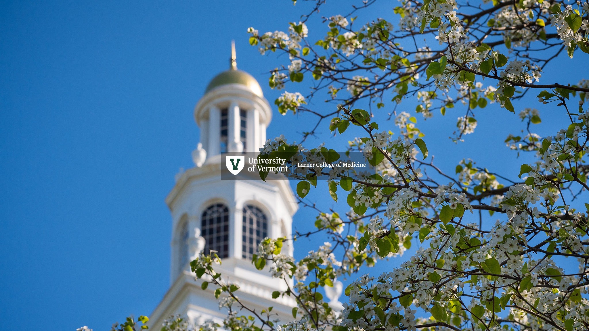 UVMLarnerMed YouTube banner