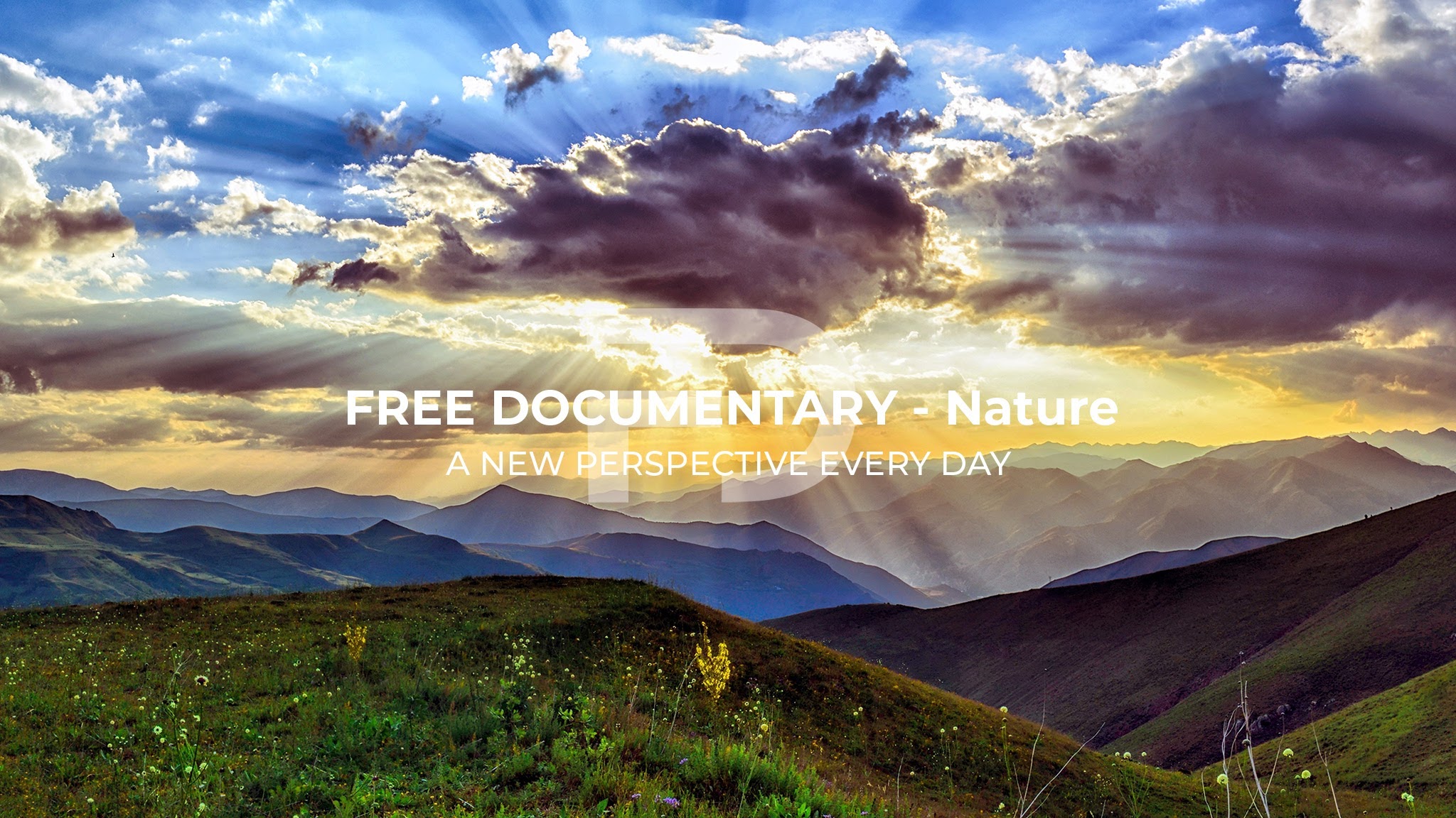 Free Documentary - Nature YouTube banner