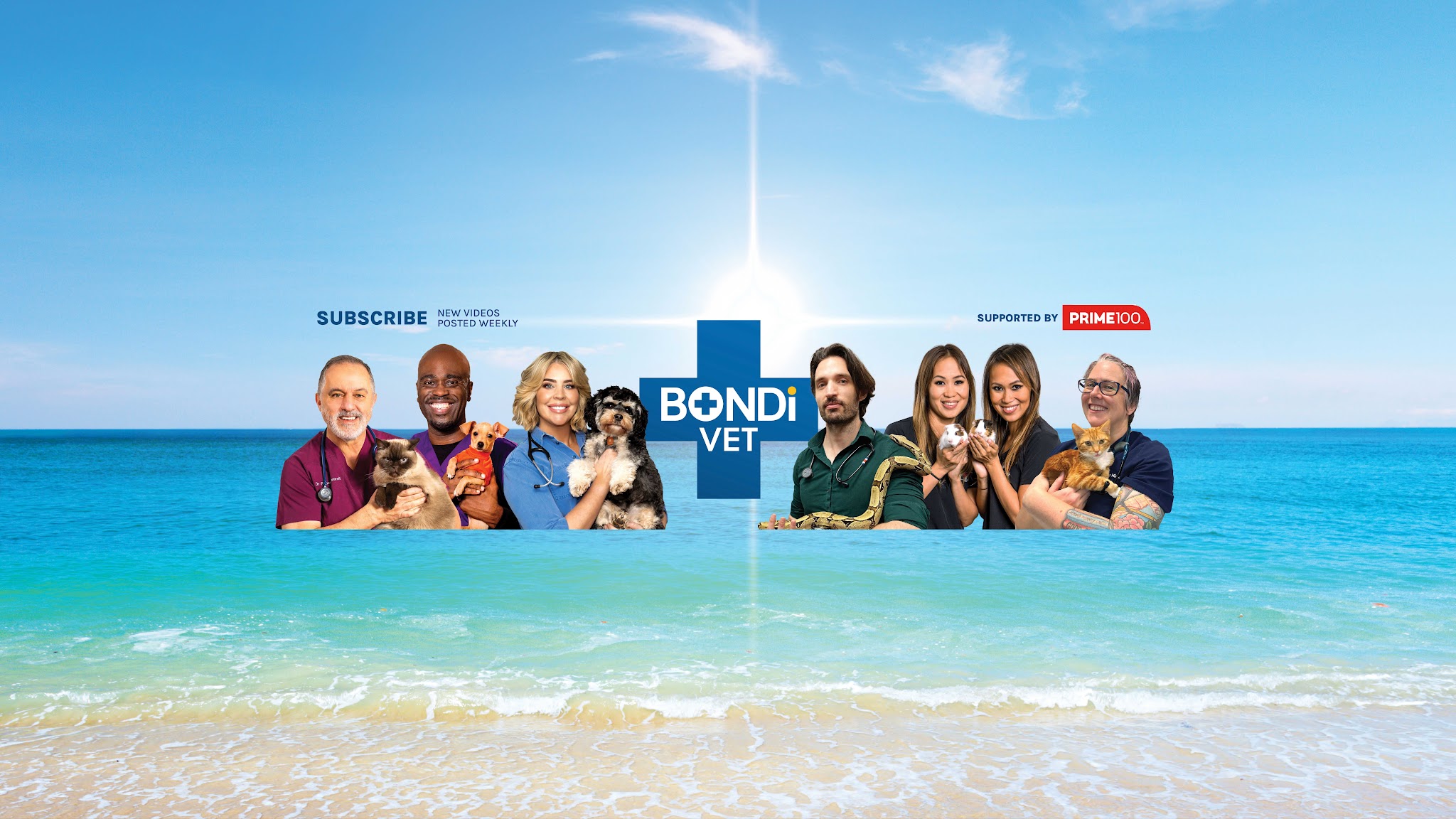 Bondi Vet YouTube banner