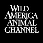 Wild America Animal Channel YouTube channel avatar 