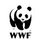 WWF - Pakistan YouTube channel avatar 