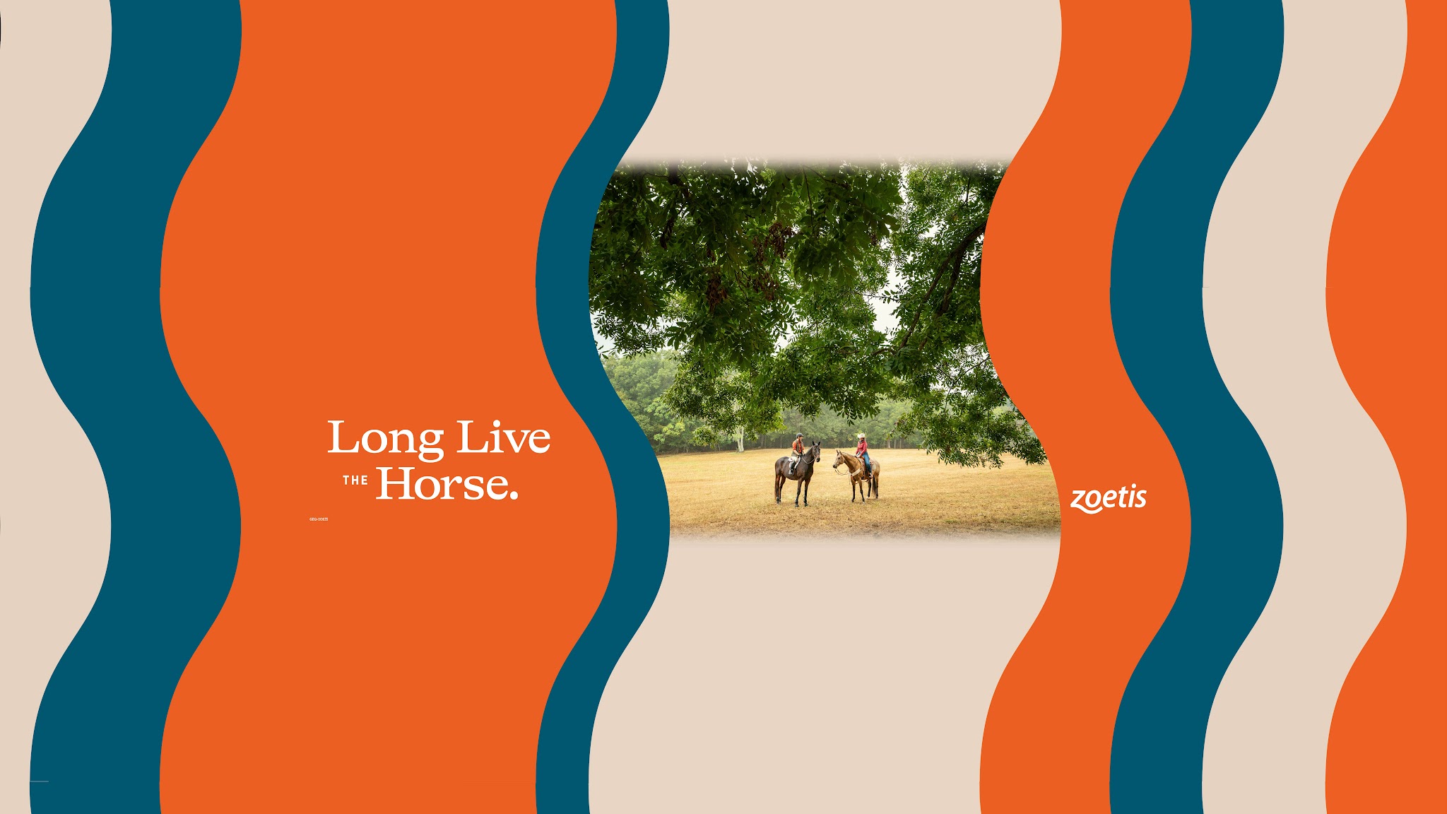 Zoetis Equine YouTube banner