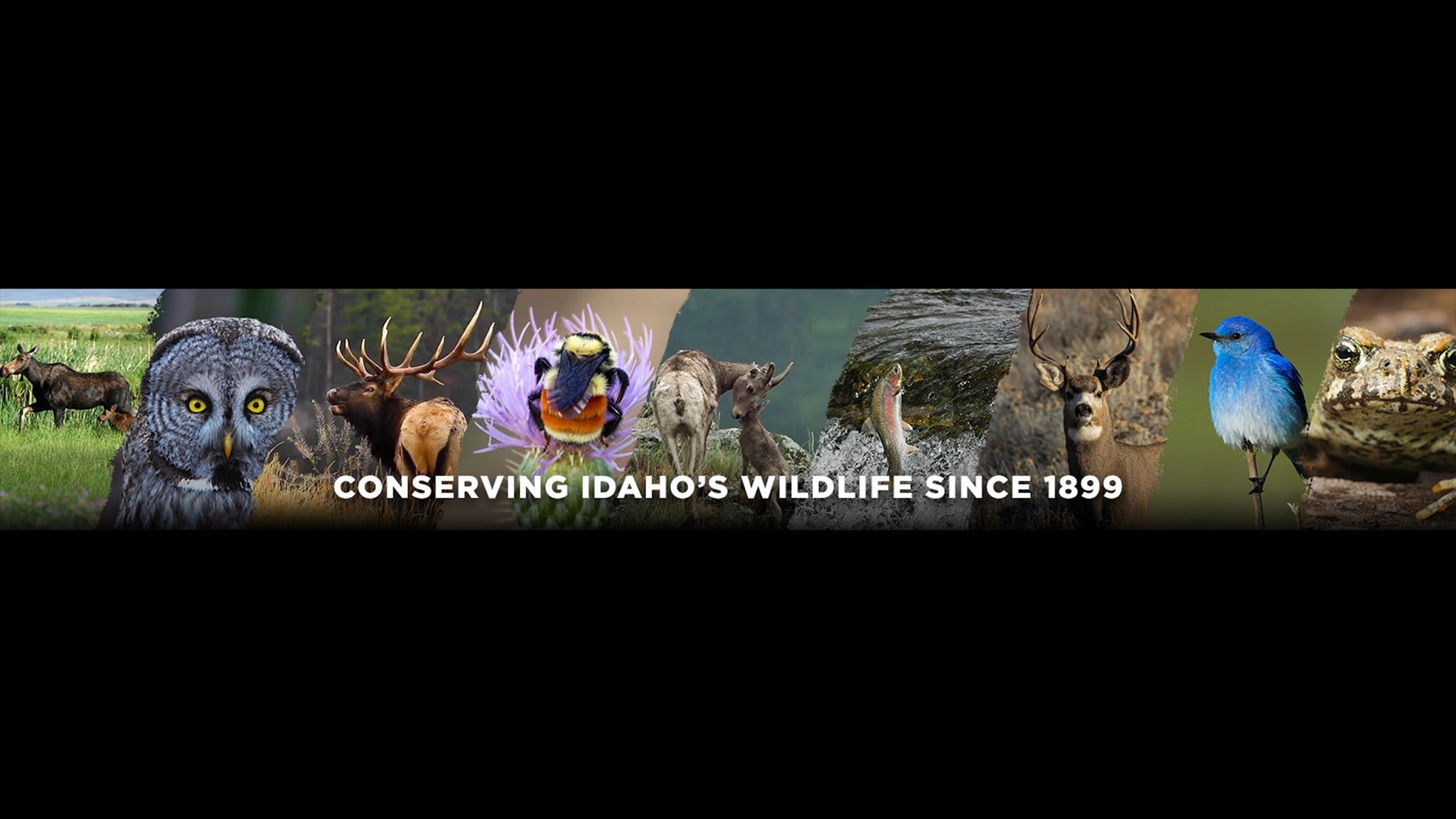 idahofishgame YouTube banner